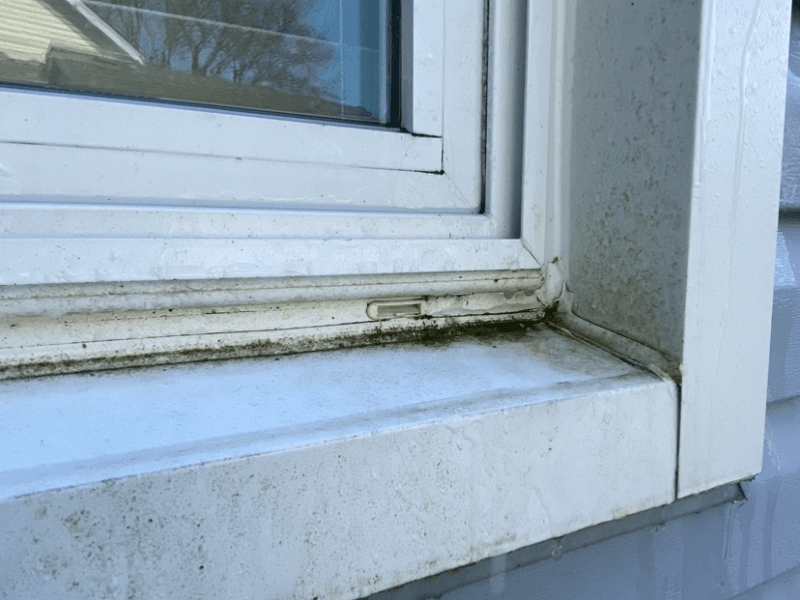 Window Cleaning - Before