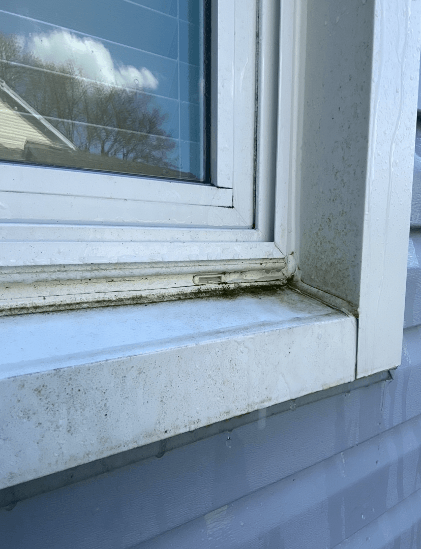 Window Cleaning - Before