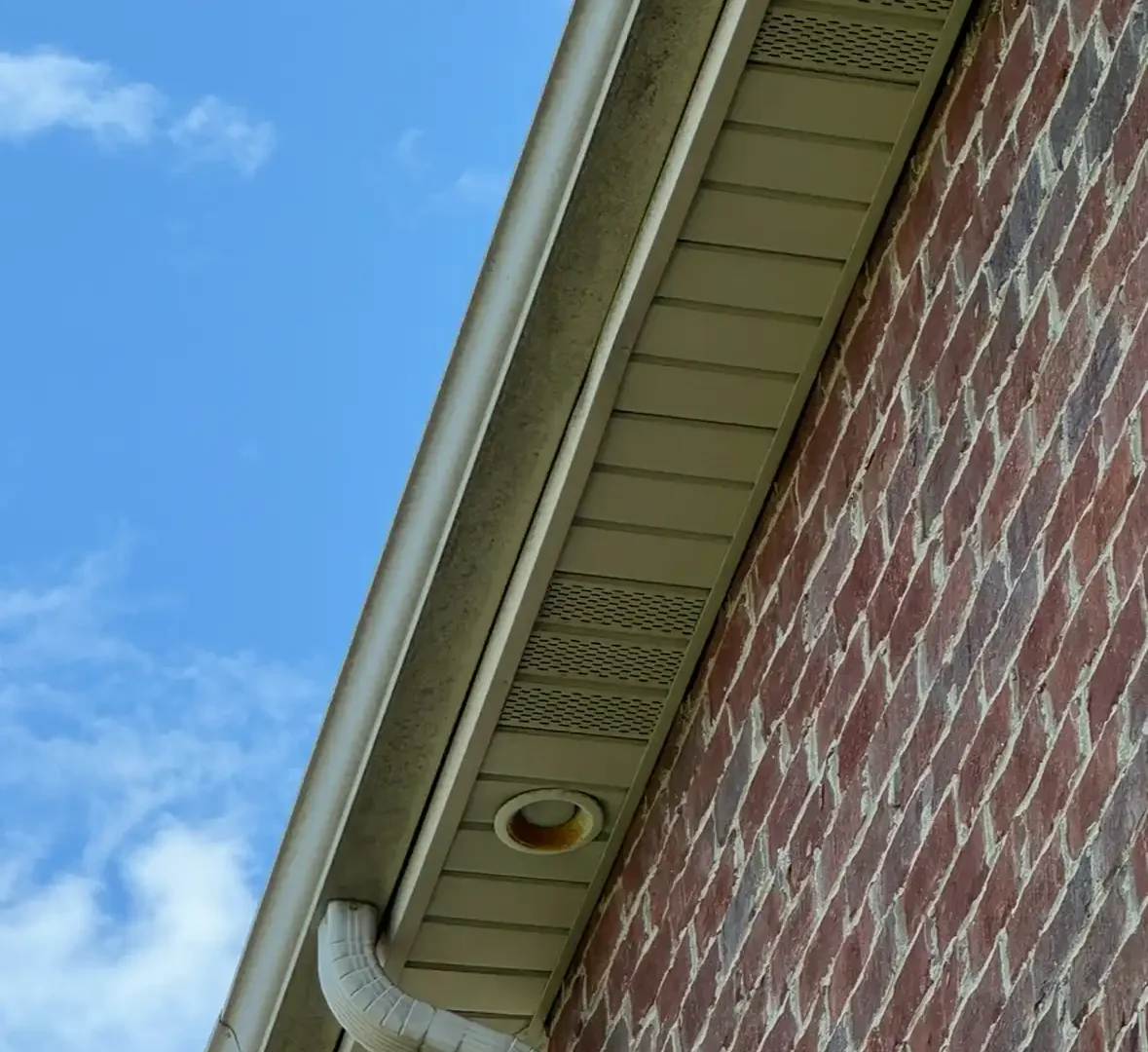 Gutter Cleaning - Before