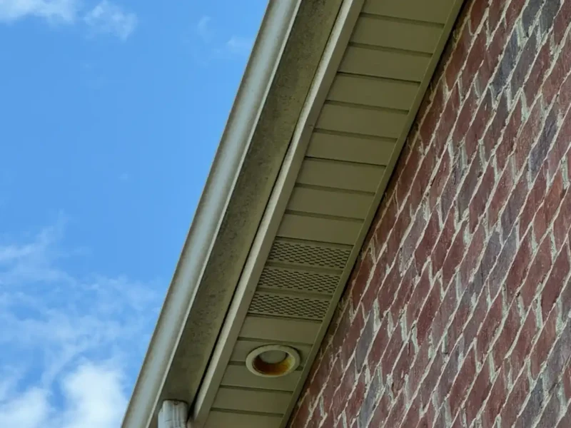 Gutter Cleaning - Before