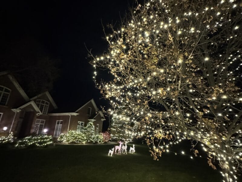 Luxury Estate Display